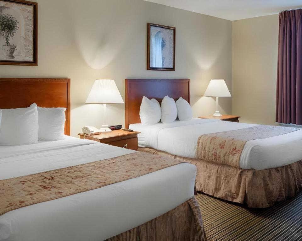 גרינוויל Rodeway Inn מראה חיצוני תמונה