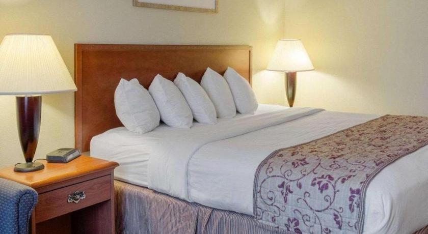 גרינוויל Rodeway Inn מראה חיצוני תמונה